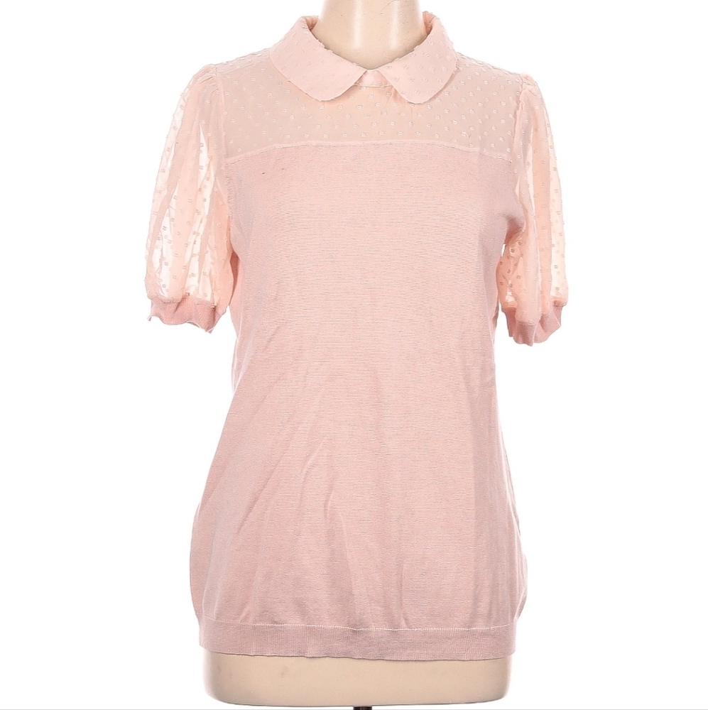 Adrianna Papell Blush Sheer Sleeve Blouse
